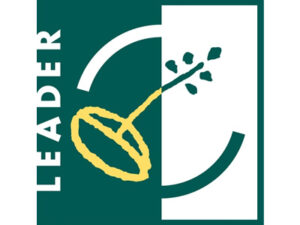Logo leader logo-leader